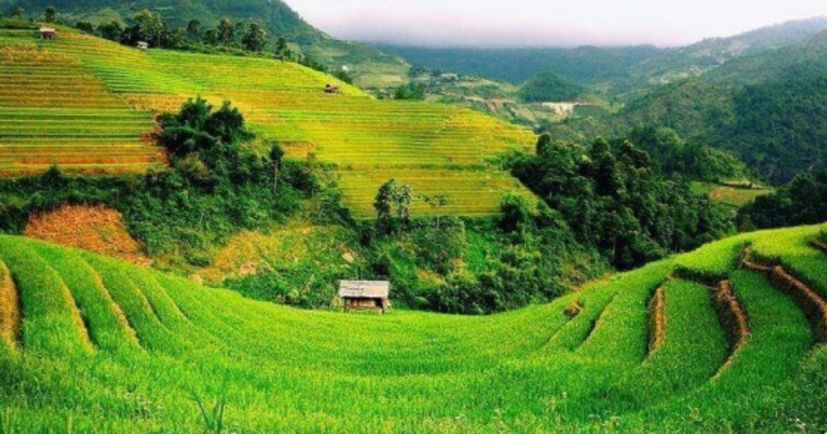 Luật Đất đai 2024 quy định mới về việc đưa đất nông nghiệp lên thành đất ở