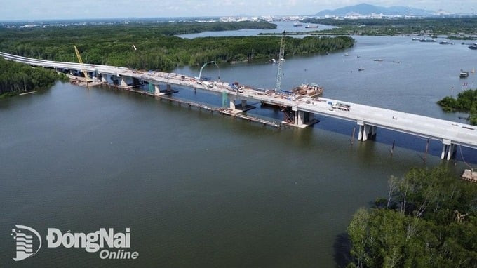 Chiêm ngưỡng tuyến đường qua rừng ngập mặn đẹp nhất cao tốc Bến Lức - Long Thành