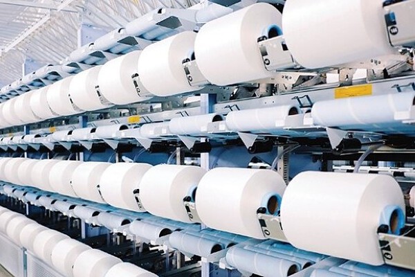Sợi Thế Kỷ sắp chào bán 13,5 triệu cổ phiếu cho ba lãnh đạo và một cổ đông