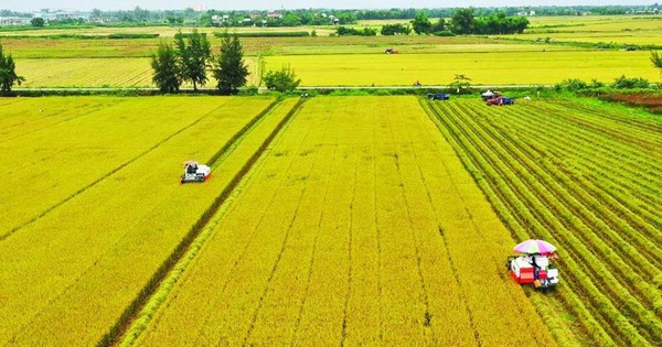 Quy định về thực hiện tập trung, tích tụ đất nông nghiệp