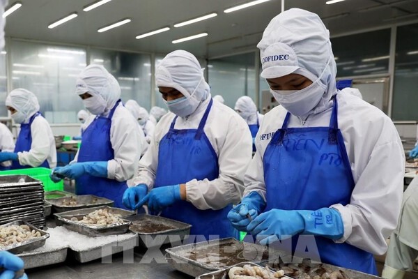 Thương vụ Việt Nam tại Pakistan cảnh báo thủ đoạn lừa đảo mới trong buôn bán quốc tế
