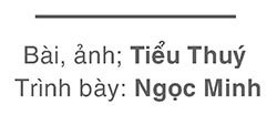 Đấu giá đất để đầu cơ, đẩy giá: chế tài chưa đủ răn đe?