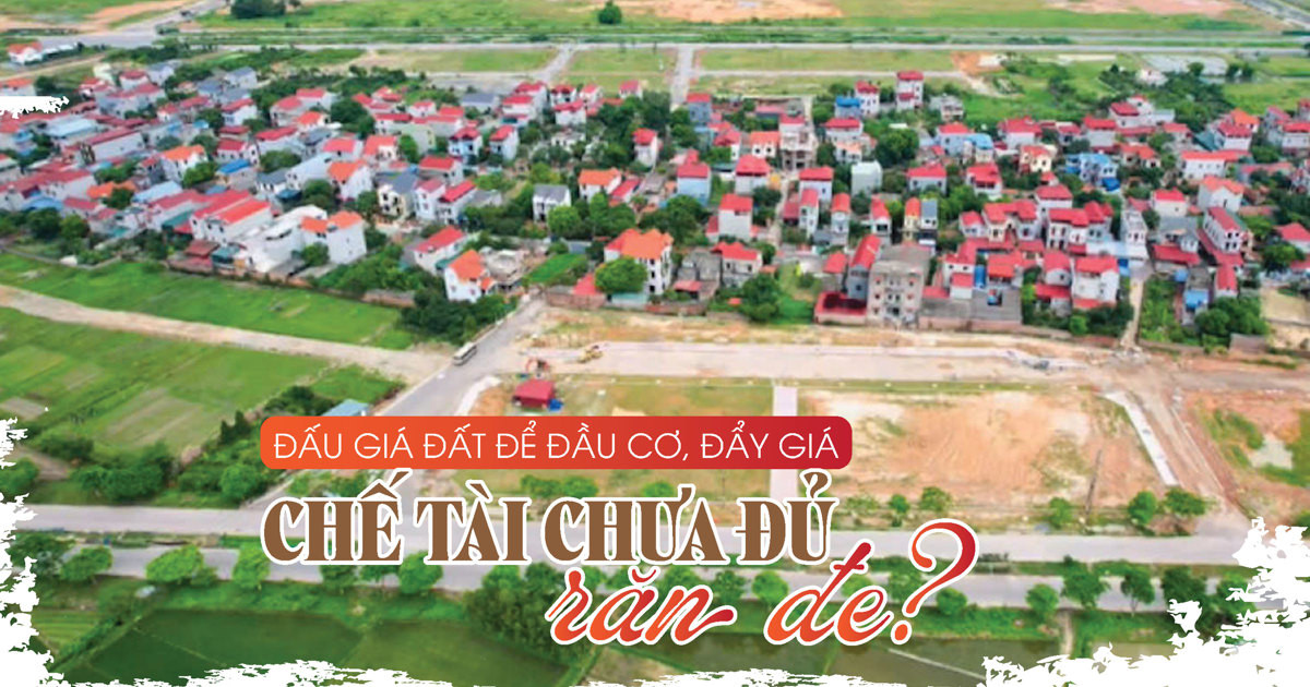 Đấu giá đất để đầu cơ, đẩy giá: chế tài chưa đủ răn đe?
