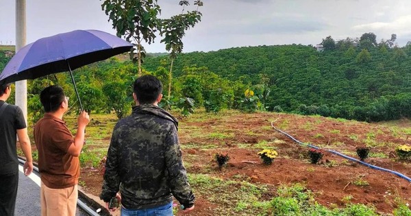 Thị trường đất nền Lâm Đồng đang diễn biến ra sao?
