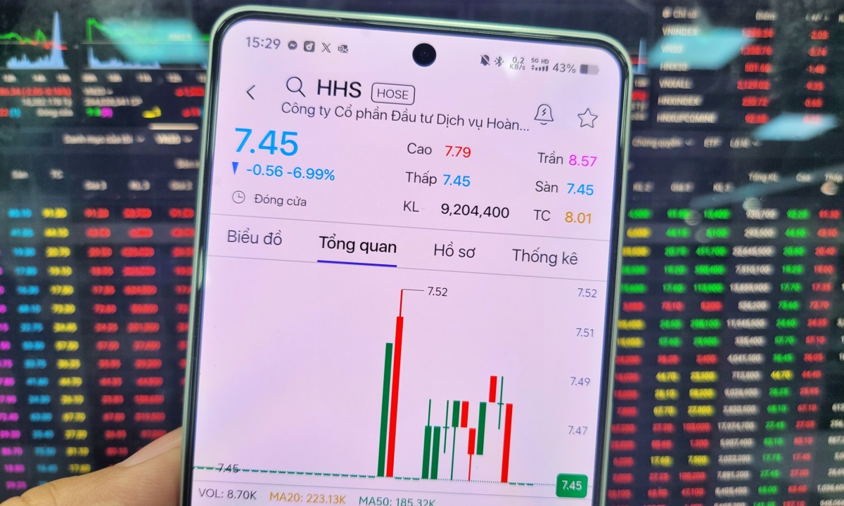 Cổ phiếu nhóm Hoàng Huy giảm sâu