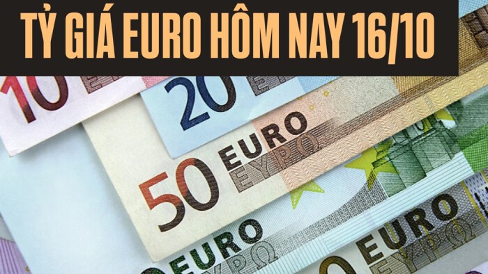 Tỷ giá euro ngày 16/10: Tăng đồng loạt tại các ngân hàng