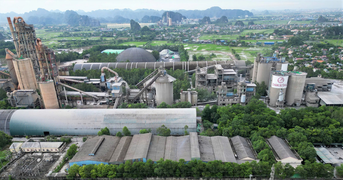 Ninh Bình 'cắt' 38ha rừng tự nhiên cho Nhà máy xi măng Duyên Hà