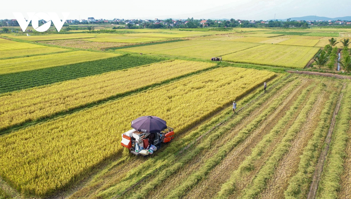 Làng trong phố, phố trong làng ở thành phố thứ 5 của tỉnh Quảng Ninh