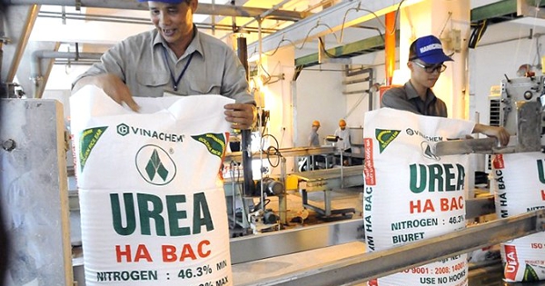 Đạm Hà Bắc có Tổng Giám đốc mới