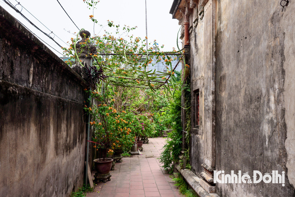 Hà Nội: ngắm nhìn ngôi làng cổ kính yên bình nằm bên bờ sông Hồng