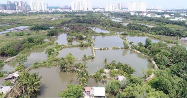 'Quốc Cường Gia Lai đồng ý trả hơn 2.800 tỷ đồng cho bà Trương Mỹ Lan'