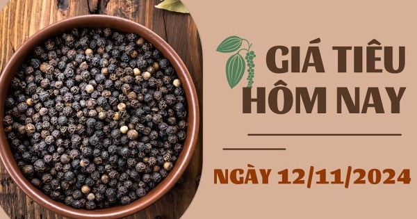 Giá tiêu hôm nay 12/11: Xu hướng giảm bao trùm thị trường trong nước và thế giới