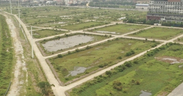 Ninh Bình kiến nghị 