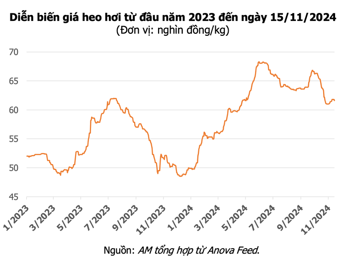 Giá heo hơi hôm nay 15/11: Hai tỉnh miền Tây tăng giá