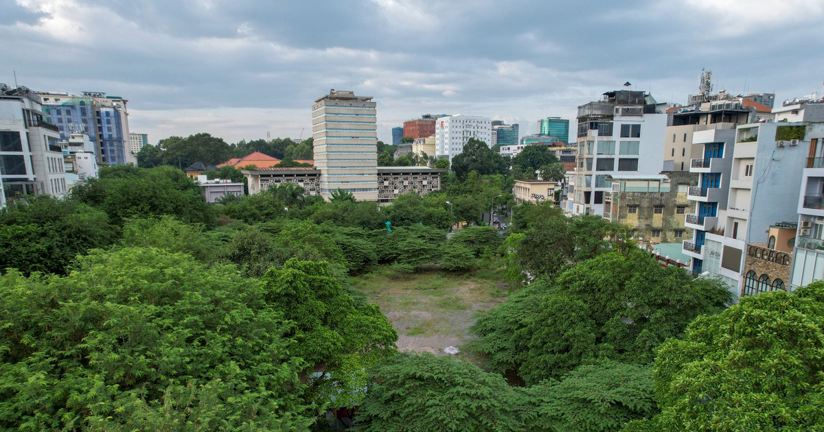 Cỏ hoang um tùm trên đất 'kim cương' nghìn tỷ giữa trung tâm TPHCM