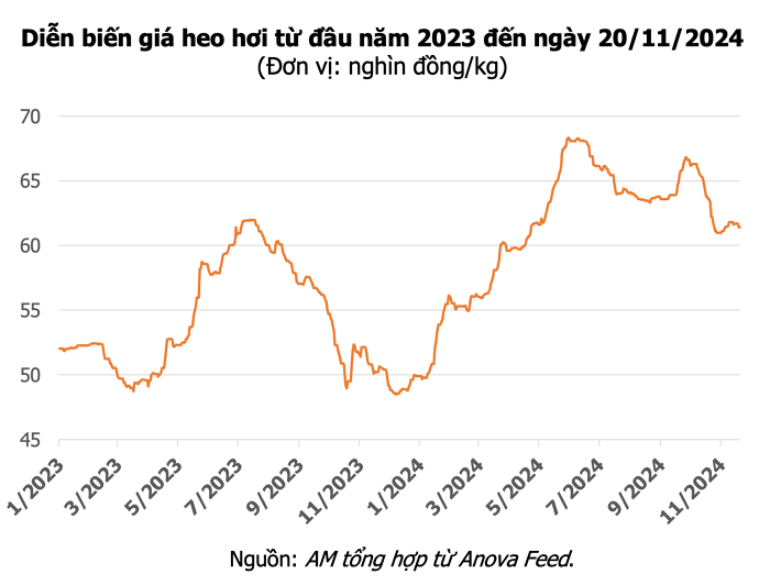 Giá heo hơi hôm nay 20/11: Tăng nhẹ tại khu vực miền Nam