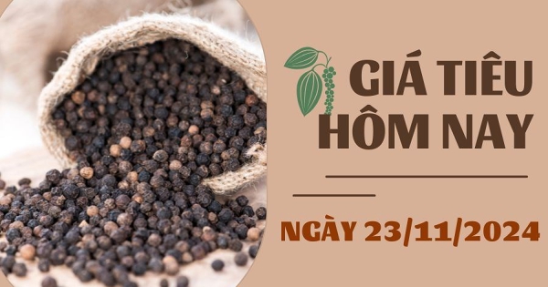 Giá tiêu hôm nay 23/11: Quay đầu giảm trở lại, cao nhất 139.000 đồng/kg