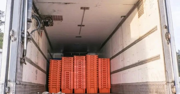 Vụ phát hiện 8 thi thể trong container đông lạnh ở Trung Quốc: Nguyên nhân cuối cùng được công bố