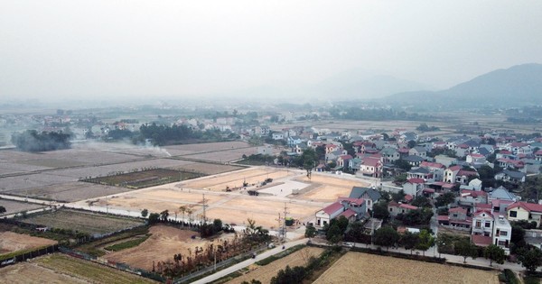 Liên tiếp các vụ đấu giá đất phải dừng: Cần xóa tâm lý 'cùng lắm mất tiền đặt cọc'