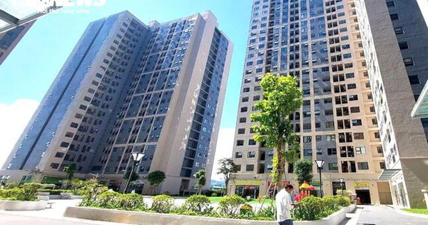 Chủ tịch Đà Nẵng đề nghị cán bộ có ô tô cần trả lại chung cư thuê của Nhà nước