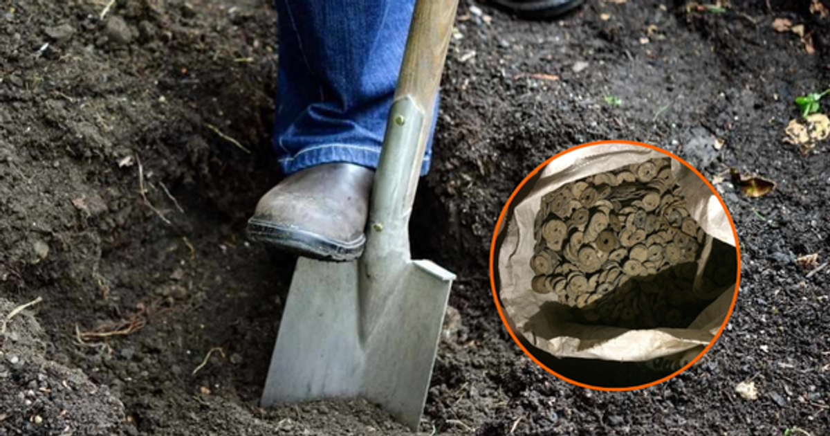 Đào móng xây nhà, người đàn ông bất ngờ 'trúng mánh' kho báu 200 năm tuổi, nặng 10kg