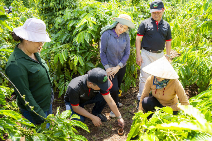 Nescafé Plan và 14 năm chuyển đổi canh tác cà phê bền vững