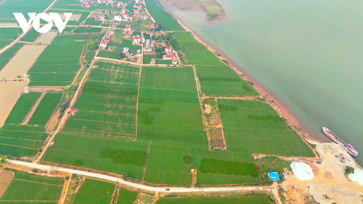Bắc Ninh cưỡng chế thu hồi đất cho dự án cảng vận chuyển hàng hóa