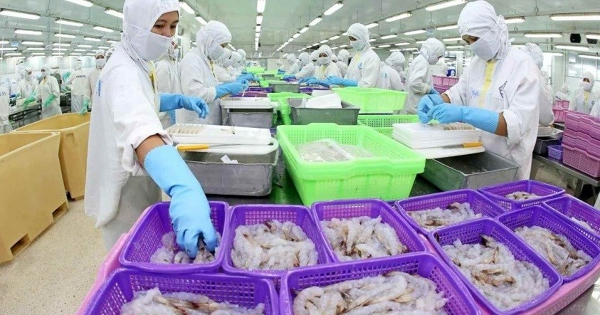 Sao Ta có thể lập kỷ lục lợi nhuận