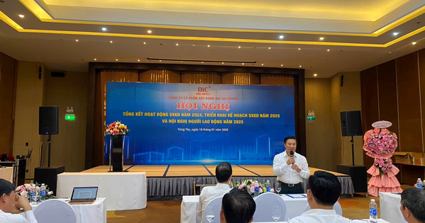 DIC Holdings: Doanh thu lần đầu tiên vượt 1.000 tỷ đồng
