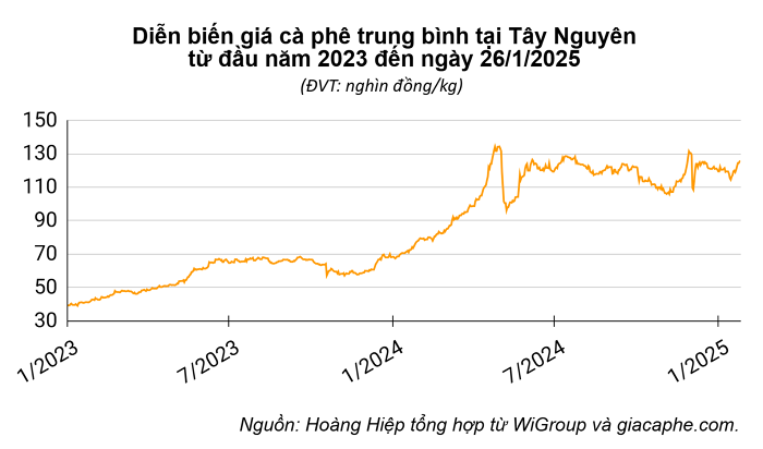 Giá cà phê hôm nay 26/1: Tăng vọt hơn 5.000 đồng/kg trong tuần giáp Tết