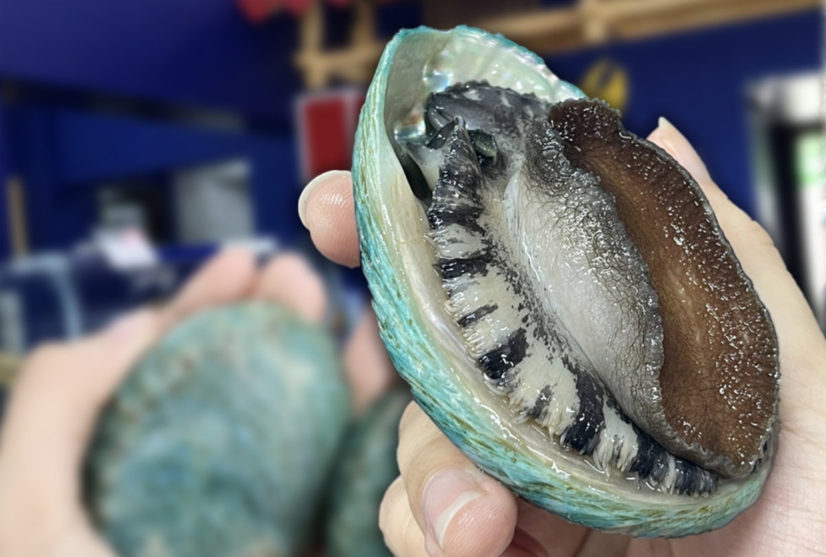 Cua King Crab, bào ngư xanh ngọc tăng giá mạnh dịp Tết