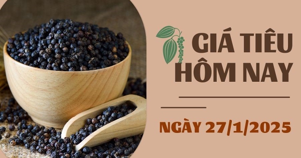 Giá tiêu hôm nay 27/1: Giá tiêu có thể tăng lên hơn 200.000 đồng/kg?