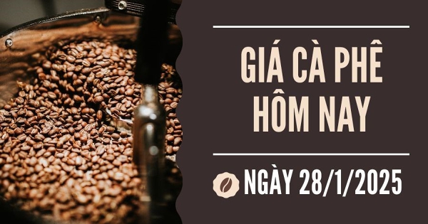 Giá cà phê hôm nay 28/1: Arabica đạt mức cao kỷ lục mới, trong khi robusta quay đầu giảm