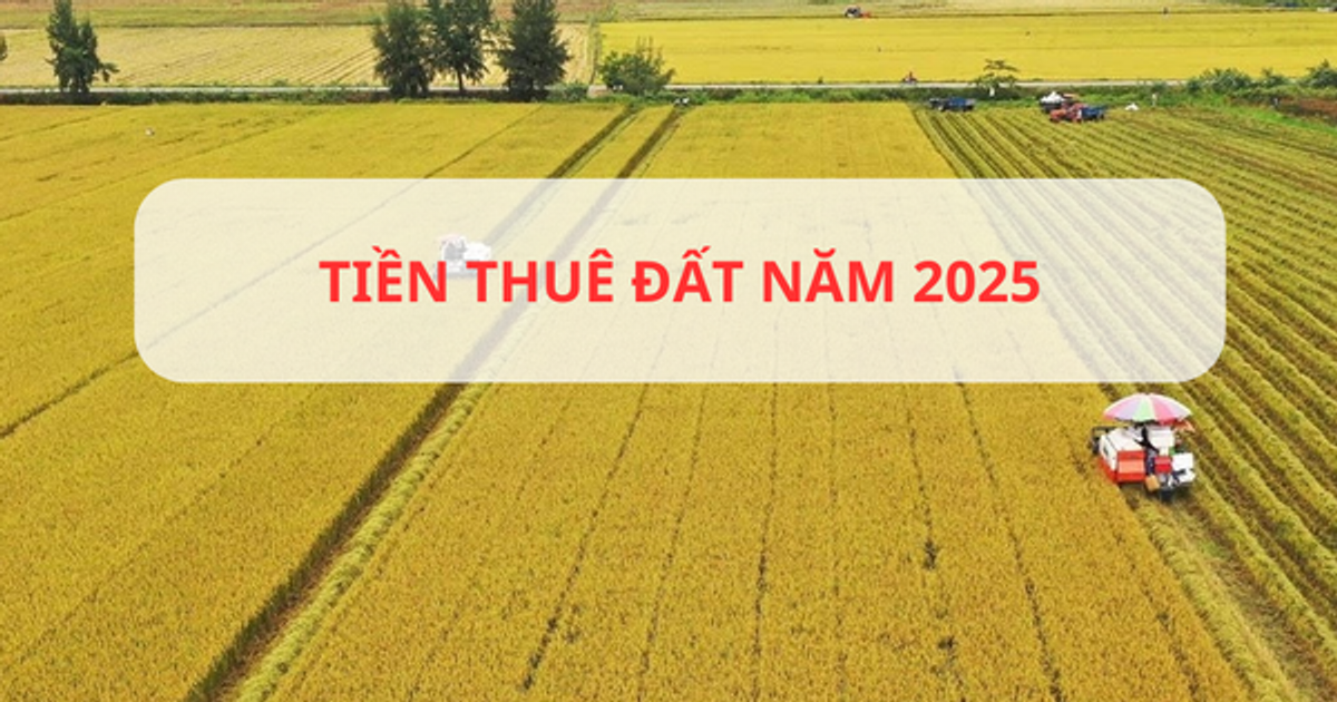Bộ Tài chính đề xuất ưu đãi đặc biệt có lợi cho nhóm đối tượng thuê đất làm dự án nông nghiệp