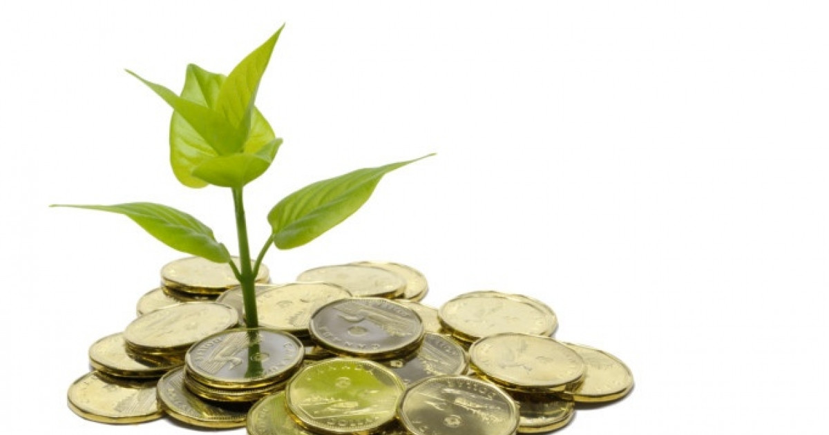 Doanh nghiệp có EPS cao nhất TTCK 2024 chi trả cổ tức tiền mặt 450% trong ba năm