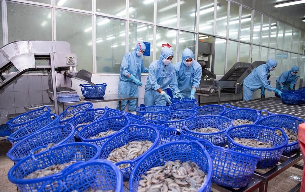 Sao Ta (FMC) tăng 35% doanh số trong tháng 1/2025