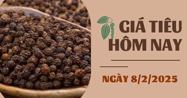 Giá tiêu hôm nay 8/2: Tăng ngày thứ 5 liên tiếp, cao nhất 157.000 đồng/kg