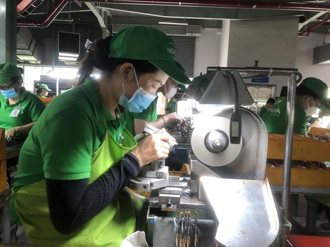 Doanh nghiệp xuất khẩu ứng biến