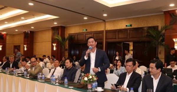 Nhiều tỷ phú thế giới đến Bình Định đầu tư, sao doanh nghiệp nội vẫn lăn tăn?