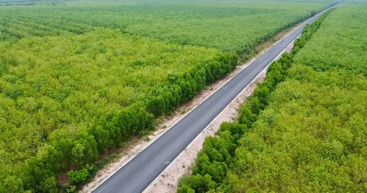 Chỉ hơn 2 tháng nữa, con đường xuyên rừng cao su tại tỉnh giàu nhất Việt Nam sẽ thông xe kỹ thuật
