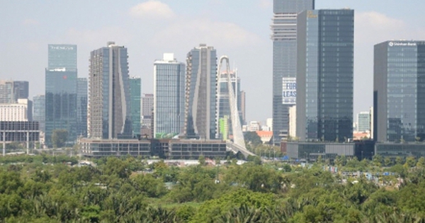 Đấu giá 3 lô đất 