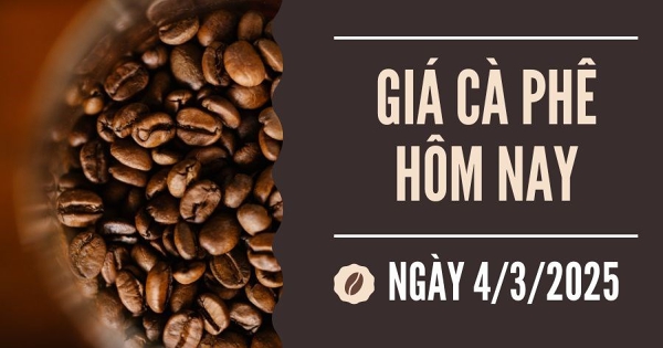 Giá cà phê hôm nay 4/3: Tăng mạnh trở lại do tồn kho cạn kiệt tại Brazil