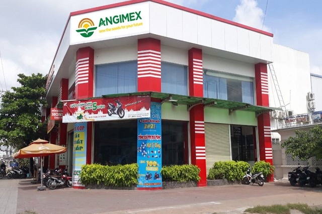 AGM chỉ ra nguyên nhân lỗ năm 2024, dự định tiếp tục bán tài sản để bổ sung vốn lưu động
