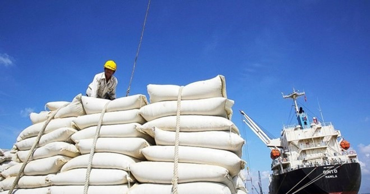 Yêu cầu không làm khó người dân vay vốn sản xuất lúa gạo