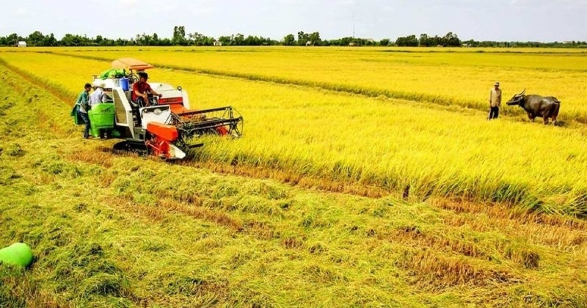 Từ bây giờ, những ai sẽ được bồi thường khi thu hồi đất nông nghiệp?