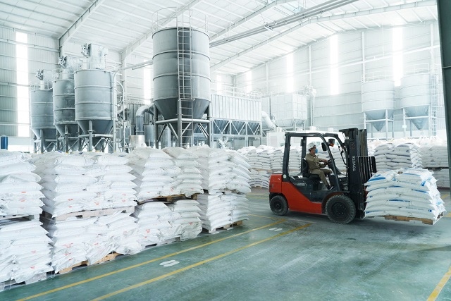 AAA muốn giảm sở hữu HII về dưới 50%