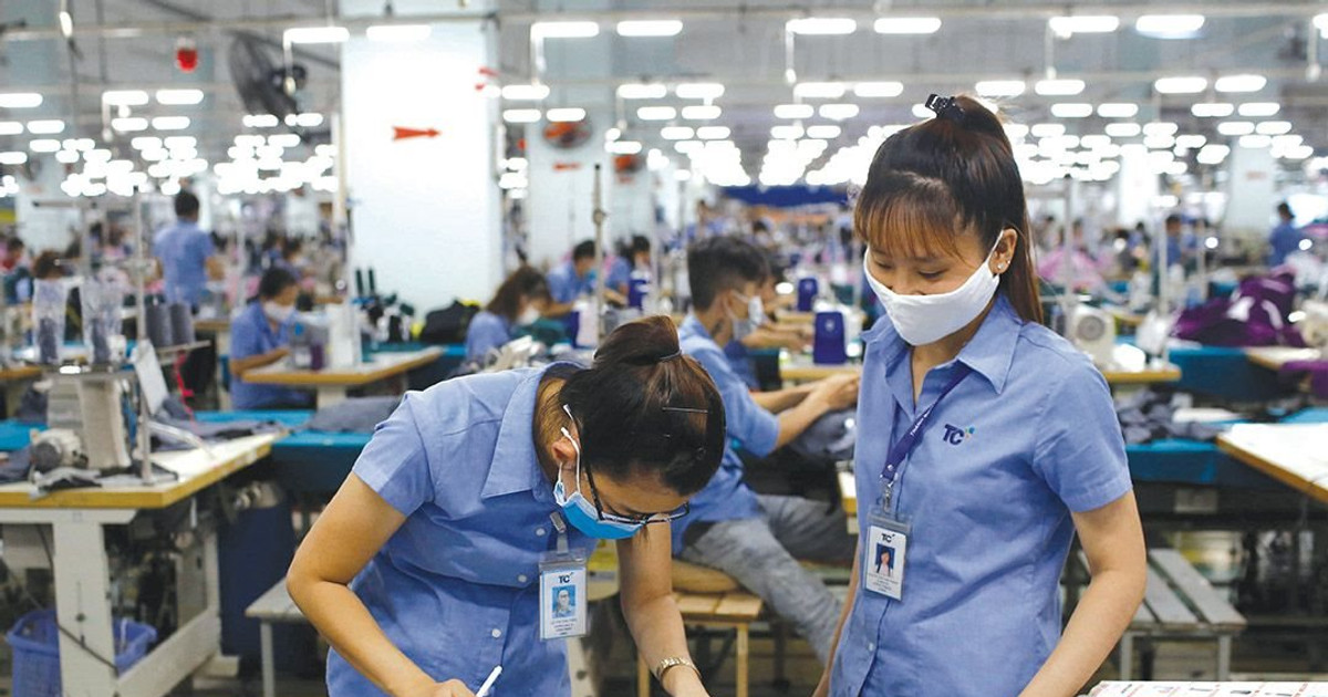 Ông lớn ngành dệt may giảm 73% lợi nhuận sau kiểm toán 2024
