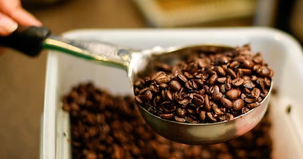Ngành cà phê Bắc Mỹ loay hoay tìm hướng đi giữa căng thẳng thương mại