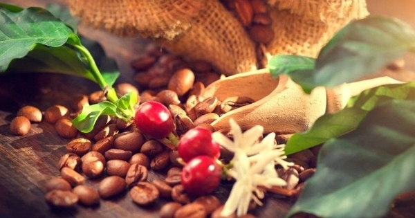 Giá cà phê tăng cao, xuất khẩu mang về hơn 1,7 tỷ USD chỉ sau 2 tháng