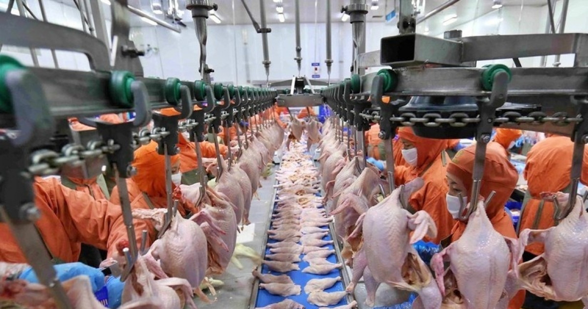 Nhà sản xuất thịt lớn nhất Thái Lan sắp IPO tại Việt Nam, cạnh tranh trực tiếp với Masan, Hòa Phát, HAGL